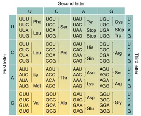 The Genetic Code